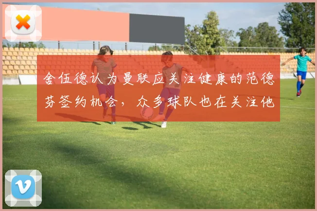 舍伍德认为曼联应关注健康的范德芬签约机会，众多球队也在关注他